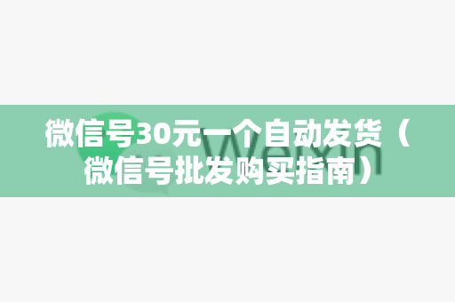 微信号30元一个自动发货（微信号批发购买指南）