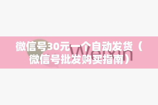 微信号30元一个自动发货（微信号批发购买指南）