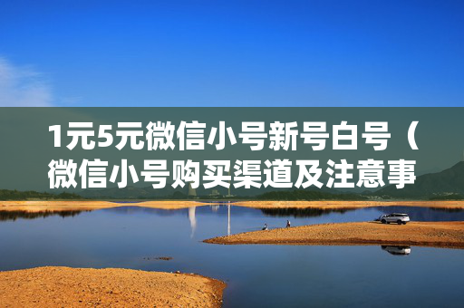 1元5元微信小号新号白号（微信小号购买渠道及注意事项）